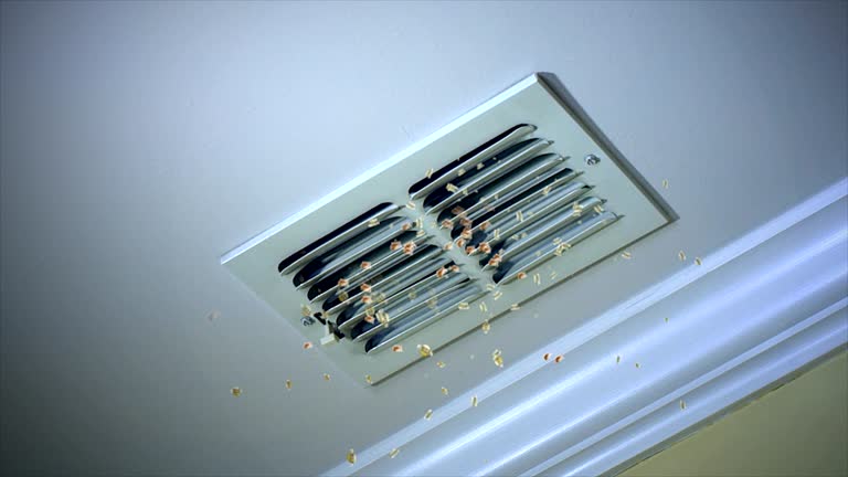 Best Ductwork Cleaning Services  in Chilton, WI
